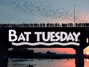 Bat Tuesday 300x224
