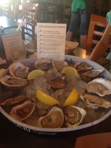 oyster selection