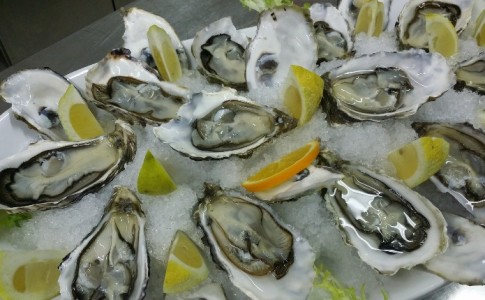 oysters 608905 1920
