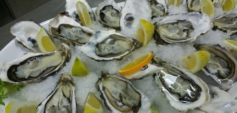 oysters 608905 1920