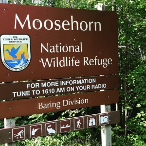 Moosehorn