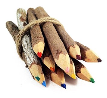 Natural Twig Colored Pencil Set
