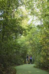 Take advantage of the beautiful scenery with a walk or jog through the 18 acre property. Photo courtesy of The Houstonian Hotel