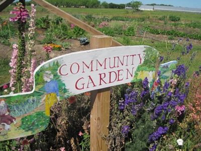 Joining a community garden in your area is a great way to take an active role in what you feed your family. Courtesy photo