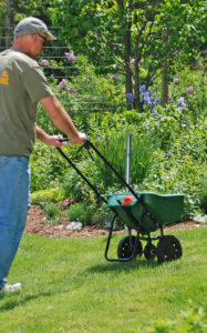 Fertilizing Lawn with Spreader e1478094057283