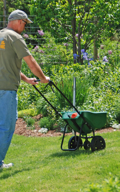 Fall fertilization can help lawns recover from the stresses of summer. Photo by Melinda Myers, LLC