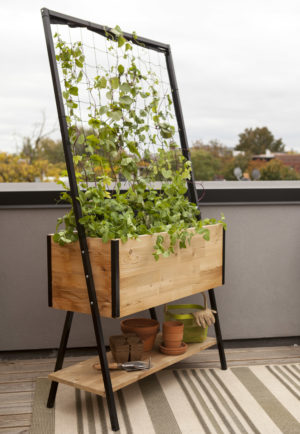Planter boxes with built-in trellises like this Apex trellis planter enable gardeners to maximize their garden space for growing vegetables and flowers. Photo by Gardener’s Supply Company