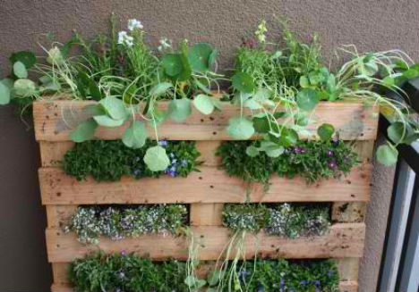 A wooden pallet can make for an amazing vertical garden to save space. Courtesy photo