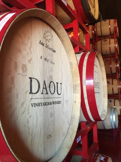 Wine Barrels at DAOU Vineyards and Winery. Photos by Kayla Elliott