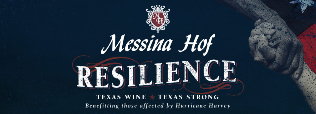 resilience web header image 01 01