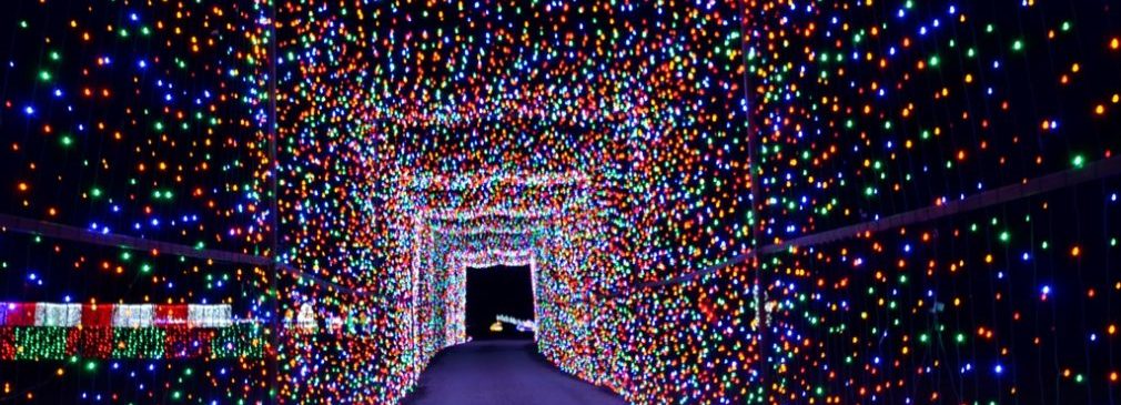 TLM Image 4 Light Tunnel at Christmas Light Fest e1513090819630