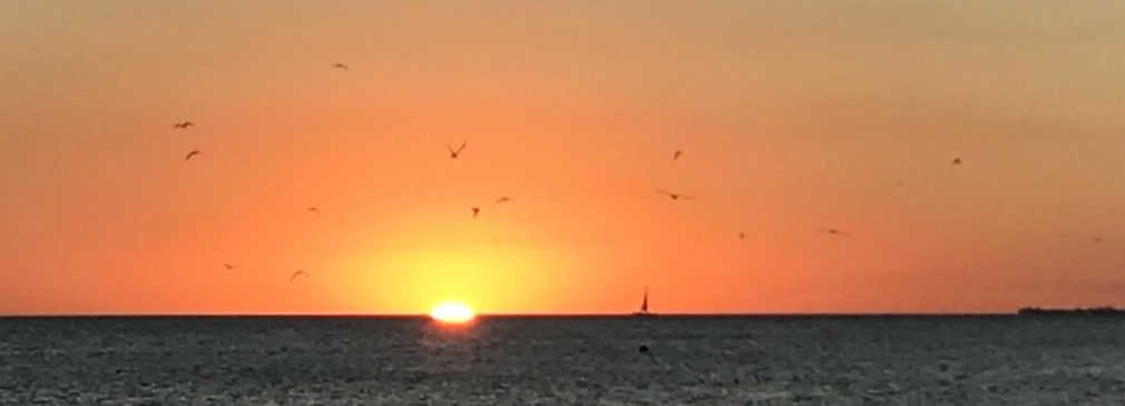 One of the beautiful sunset on Fort Myers Beach. Photo by Babs Chandrasoma 1 e1518476338492