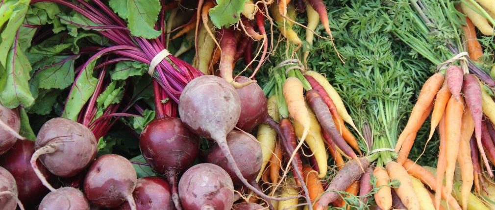 The 10 Best Vegetables And Fruits To Grow This Fall In Texas Tlm - Best Vegetable Garden Plant Food