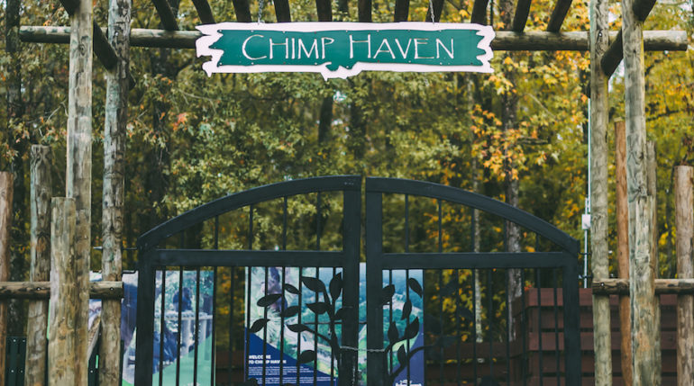 Chimp Haven Gate e1544214998864